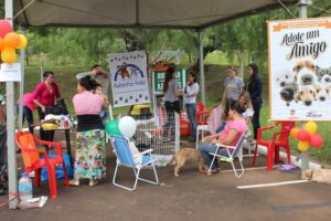 Ação Cooperada em Chapecó-SC