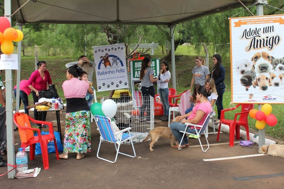 Ação Cooperada em Chapecó-SC