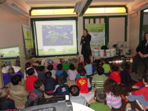 Sustentabilidade e Reciclagem no RS