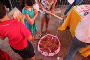 FALB PARTICIPA DA AÇÃO GLOBAL EM MINAS GERAIS