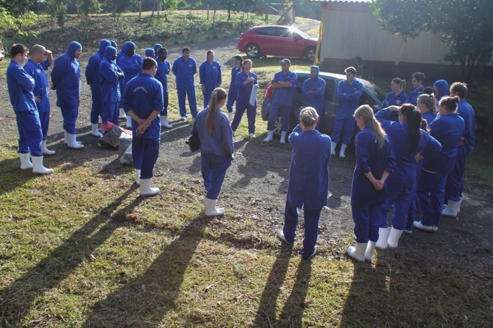 Voluntários do Amigo Energia realizam limpeza de rio