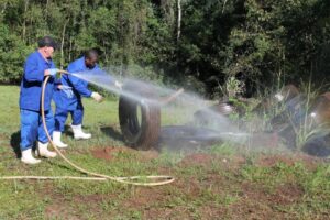 Voluntários do Amigo Energia realizam limpeza de rio