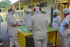 Empregados recebem momentos de descontração e conhecimento com A Turminha da Reciclagem