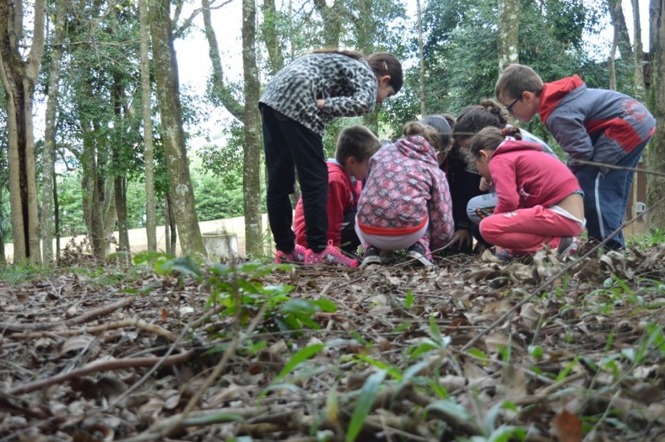 Vozes do Corpo realiza caminhada com A Turminha da Reciclagem