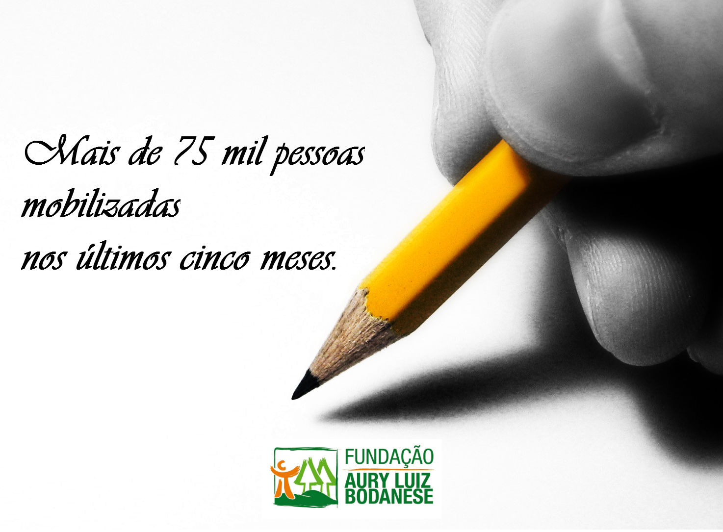 FALB mobilizou mais de 75 mil pessoas nos últimos 5 meses