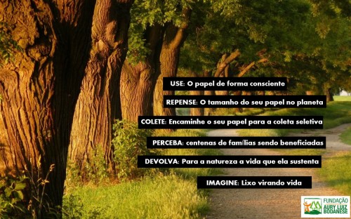 RESPEITAR UMA ÁRVORE É GARANTIR NOSSA PRÓPRIA EXISTÊNCIA