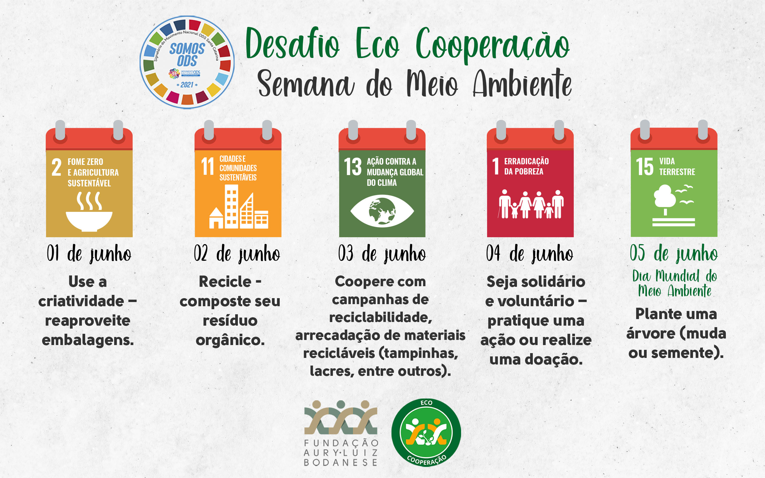 FALB promove Desafio Eco Cooperação na Semana do Meio Ambiente