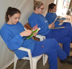 Programas da FALB no 30º Aniversário do Incubatório Aurora de Chapecó (SC)