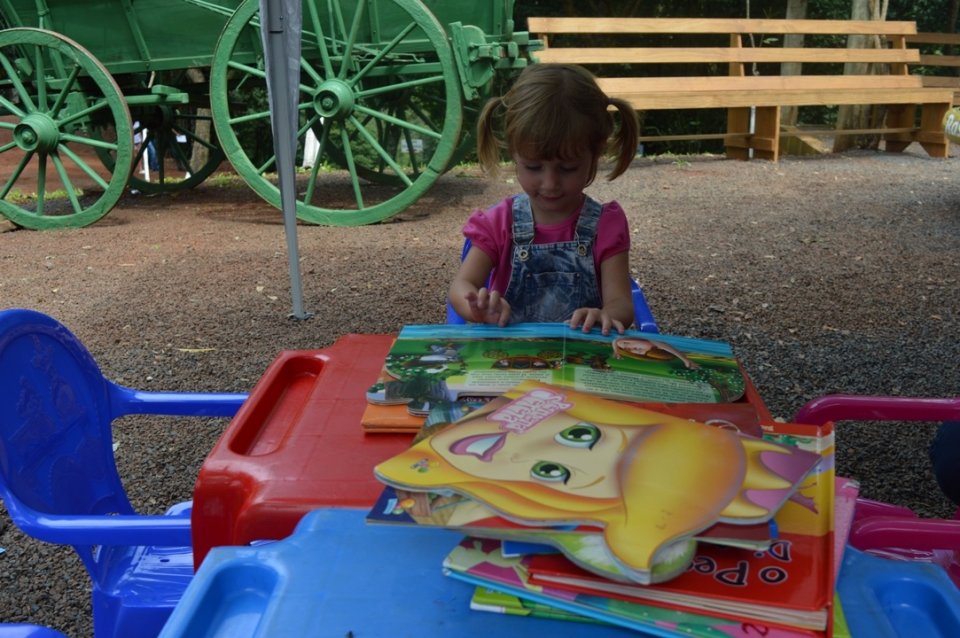 Literatura e educação ambiental