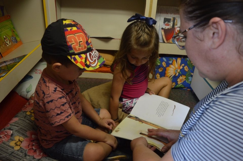 Literatura e educação ambiental