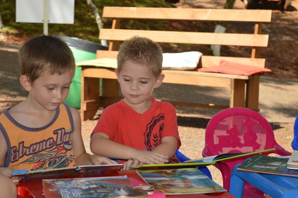 Literatura e educação ambiental