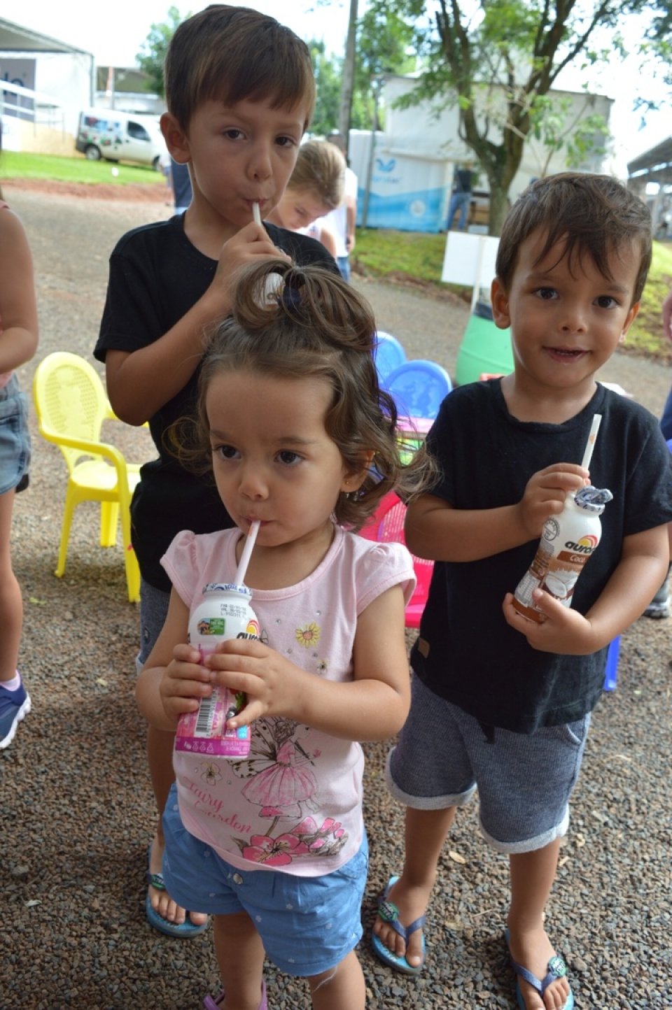Literatura e educação ambiental
