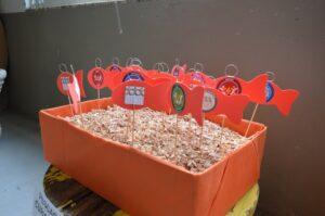 Dia especial com os programas da FALB na Aurora em Sarandi (RS)