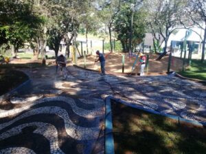 Programa Amigo Energia em ação