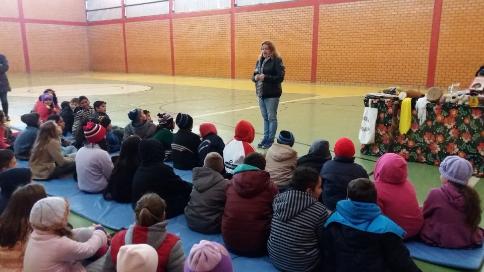 Um mundo de imaginação com o programa Roda de Leitura