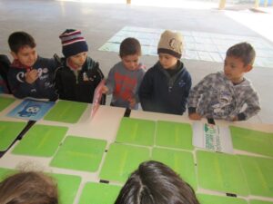 Programa Eco Cooperação incentiva a conservação e preservação do meio ambiente