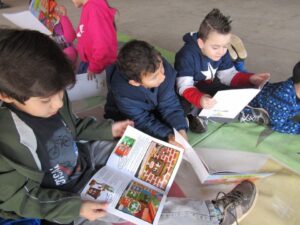 Programa Eco Cooperação incentiva a conservação e preservação do meio ambiente