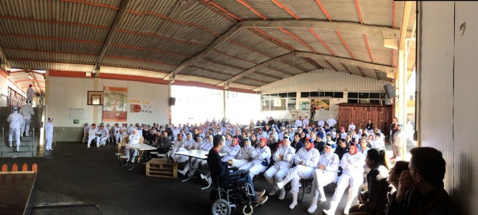 “Pés, para que os quero, se tenho asas para voar”?