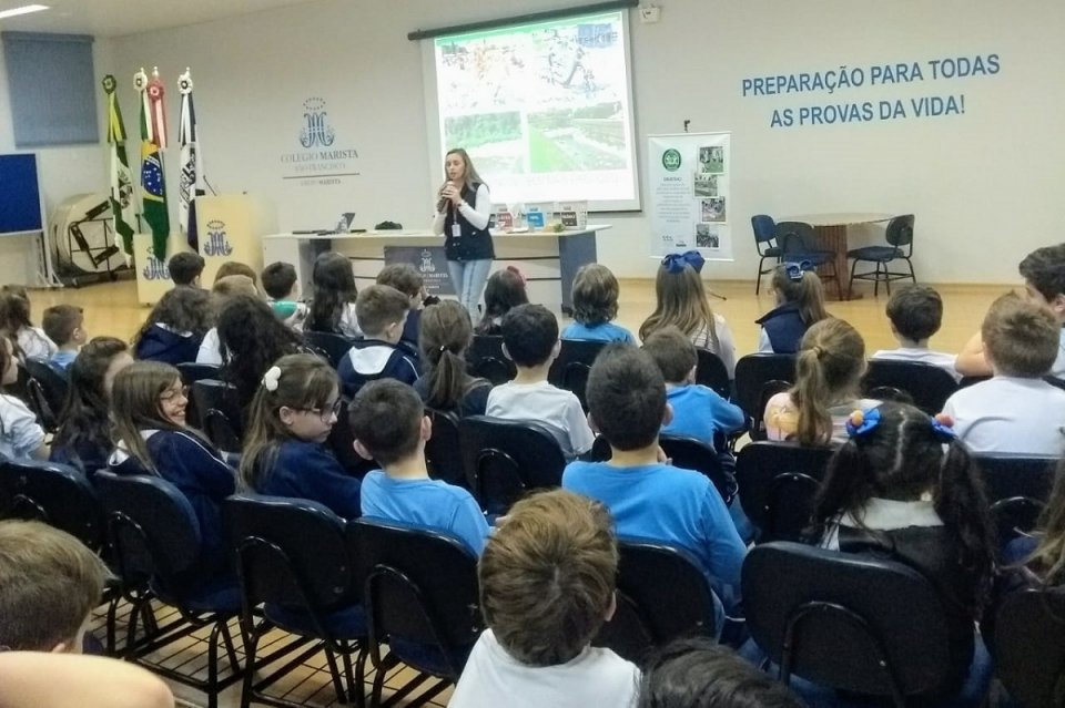 Meio ambiente em foco!