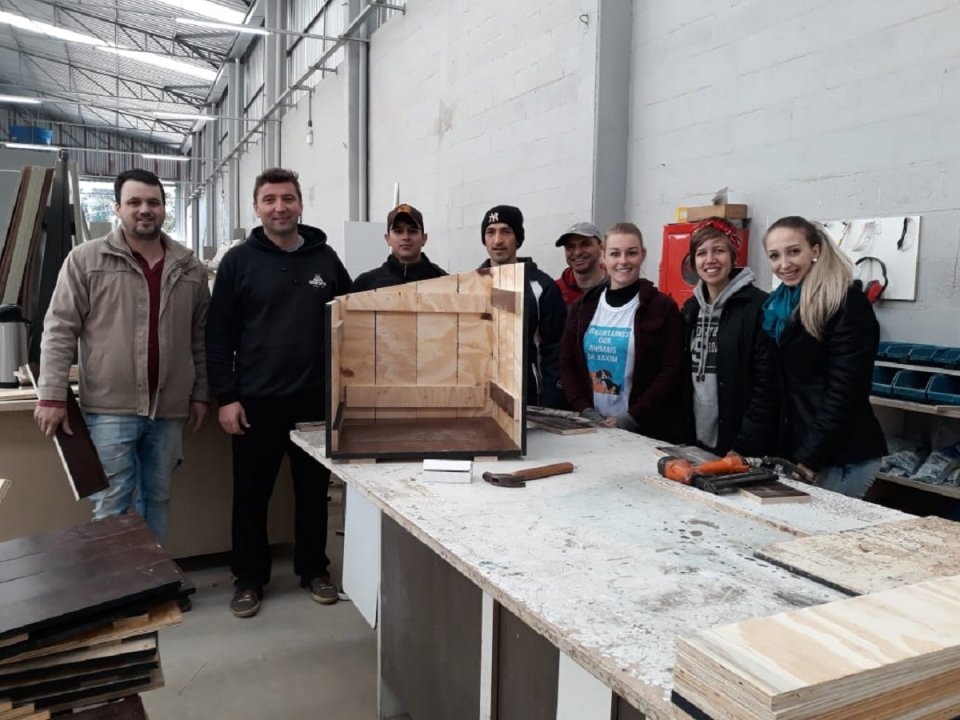 Voluntários de Xaxim (SC) constroem casas para cães de rua