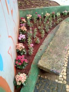 Praça Bernadete Roman de Chapecó (SC) ganha mais “vida” a cada dia