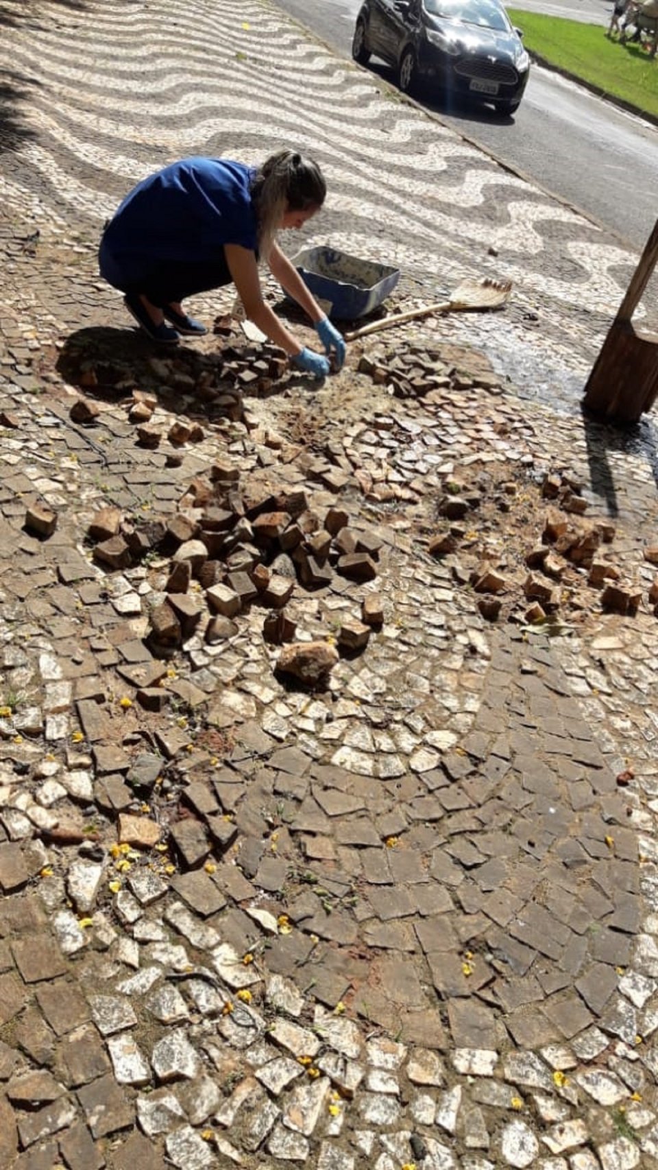 Praça Bernadete Roman de Chapecó (SC) ganha mais “vida” a cada dia