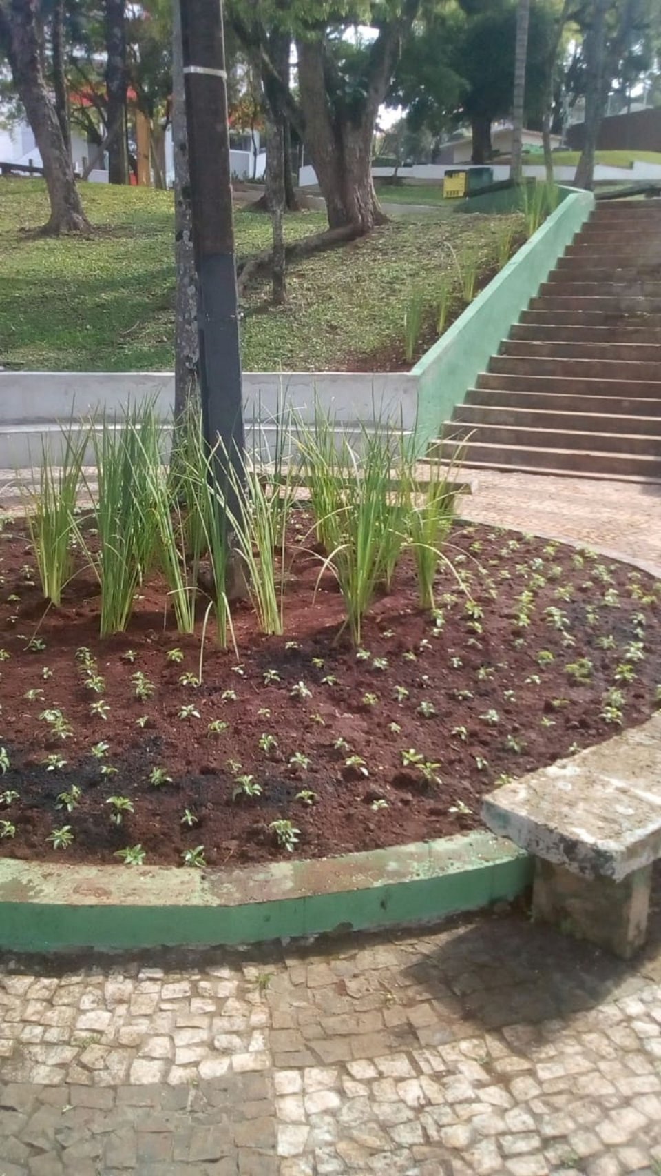 Praça Bernadete Roman de Chapecó (SC) ganha mais “vida” a cada dia