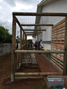 Equipe Rede da Cooperação constrói dois jardins sensoriais em instituições de Pinhalzinho (SC)