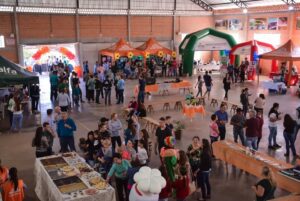 Voluntários das unidades de Xaxim organizam Ação Cooperada na Linha Tigre