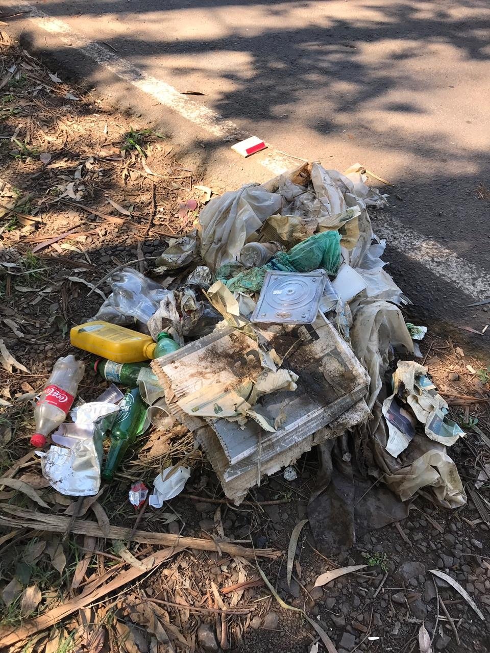Voluntários do FAG participam da atividade em alusão ao Dia Mundial da Limpeza