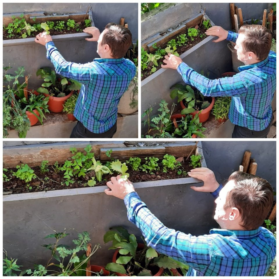 Desafio ambiental da FALB recebe 580 fotos de 46 cidades