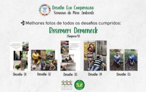 FALB revela os ganhadores do Desafio Eco Cooperação