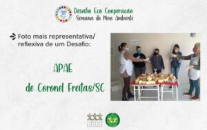 FALB revela os ganhadores do Desafio Eco Cooperação