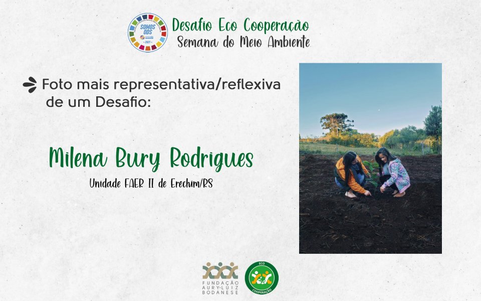 FALB revela os ganhadores do Desafio Eco Cooperação