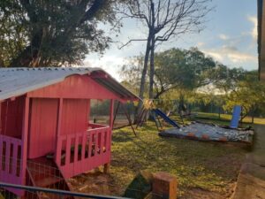 Voluntários do Incubatório Chapecó realizam ação na Escola Nova Aurora