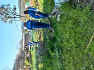 Voluntários de Aratiba (RS) realizam melhorias em escola